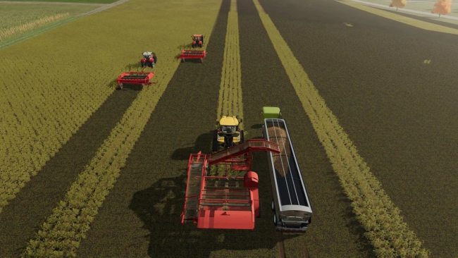 Potato Harvesters