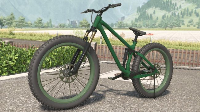 Lizard Mountain Bike