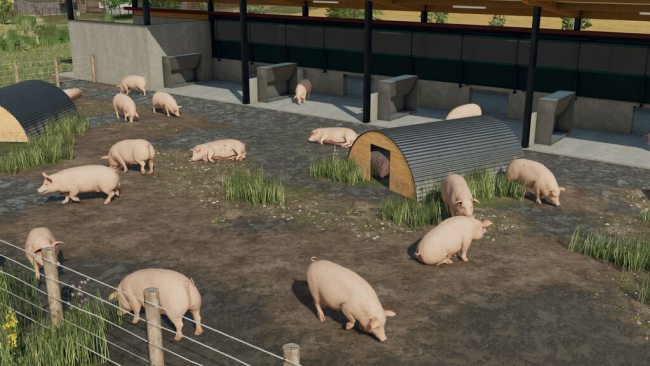Pig Shelter