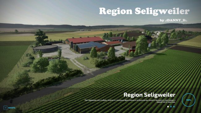 Region Seligweiler