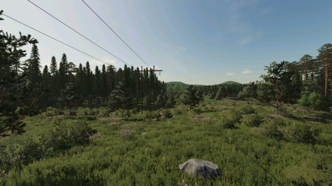 The Mythical Woods