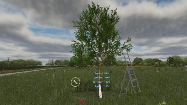 Выращивание яблок - New Apple Tree
